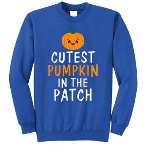 Cutest Pumpkin In The Patch Fun Halloween Gift Sweatshirt