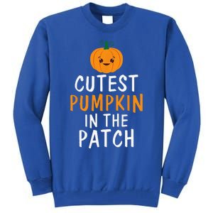 Cutest Pumpkin In The Patch Fun Halloween Gift Tall Sweatshirt