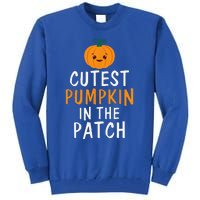 Cutest Pumpkin In The Patch Fun Halloween Gift Tall Sweatshirt