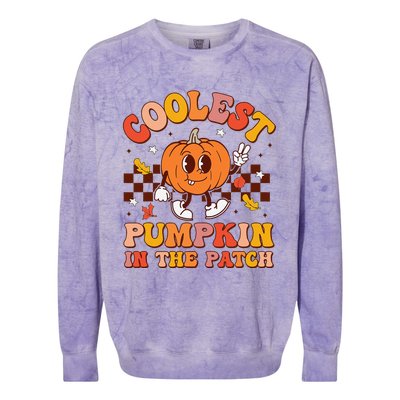 Coolest Pumpkin In The Patch Halloween Colorblast Crewneck Sweatshirt