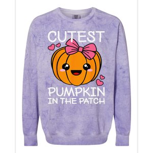 Cutest Pumpkin In The Patch Funny Halloween Thanksgiving Colorblast Crewneck Sweatshirt