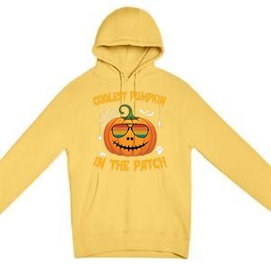 Coolest Pumpkin In The Patch Halloween Pumpkin Sunglasses Gift Premium Pullover Hoodie