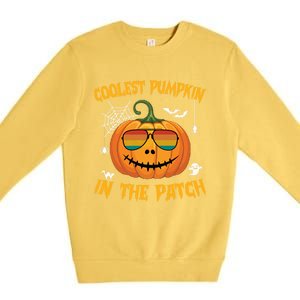 Coolest Pumpkin In The Patch Halloween Pumpkin Sunglasses Gift Premium Crewneck Sweatshirt