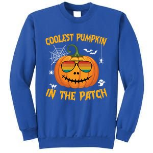 Coolest Pumpkin In The Patch Halloween Pumpkin Sunglasses Gift Sweatshirt