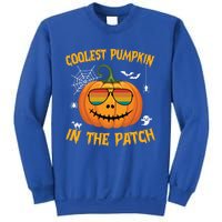 Coolest Pumpkin In The Patch Halloween Pumpkin Sunglasses Gift Sweatshirt