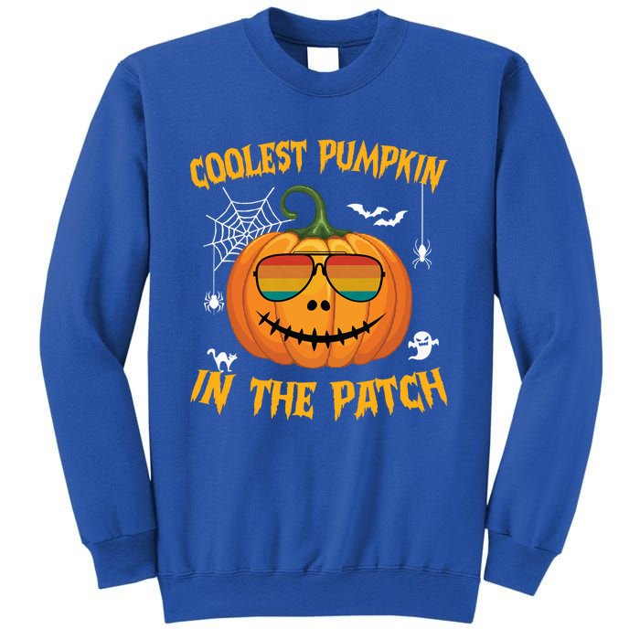 Coolest Pumpkin In The Patch Halloween Pumpkin Sunglasses Gift Sweatshirt