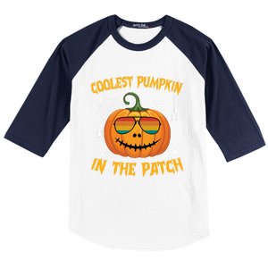 Coolest Pumpkin In The Patch Halloween Pumpkin Sunglasses Gift Baseball Sleeve Shirt