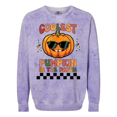 Coolest Pumpkin In The Patch Halloween Meaningful Gift Colorblast Crewneck Sweatshirt