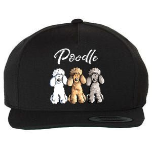 Cute Poodle I Caniche Puppy Dogs Gift Tee Women Girl Wool Snapback Cap