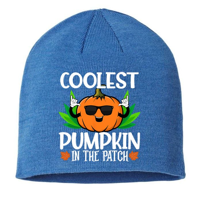 Coolest Pumpkin In The Patch Sunglasses Pumpkin Halloween Gift Sustainable Beanie