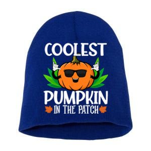 Coolest Pumpkin In The Patch Sunglasses Pumpkin Halloween Gift Short Acrylic Beanie