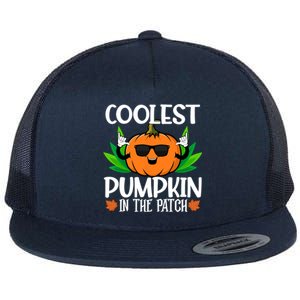 Coolest Pumpkin In The Patch Sunglasses Pumpkin Halloween Gift Flat Bill Trucker Hat