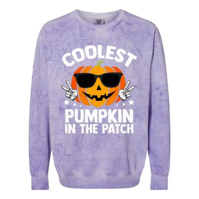 Coolest Pumpkin In The Patch Halloween Colorblast Crewneck Sweatshirt