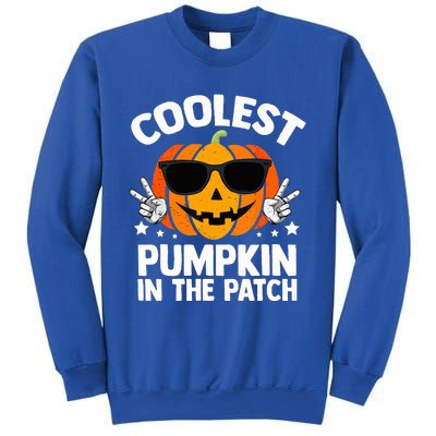 Coolest Pumpkin In The Patch Halloween Sweatshirt