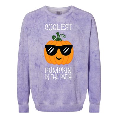 Coolest Pumpkin In The Patch Halloween Colorblast Crewneck Sweatshirt