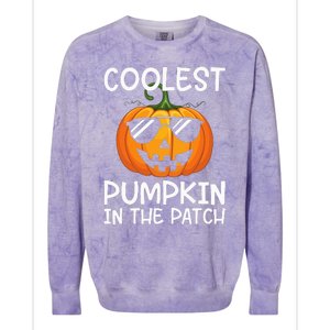 Coolest Pumpkin In The Patch Halloween Colorblast Crewneck Sweatshirt