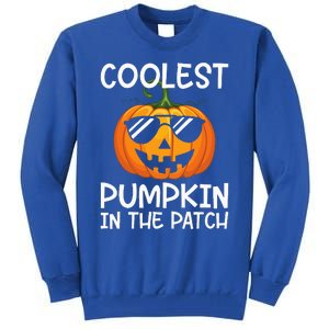 Coolest Pumpkin In The Patch Halloween Tall Sweatshirt