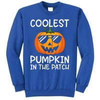 Coolest Pumpkin In The Patch Halloween Tall Sweatshirt