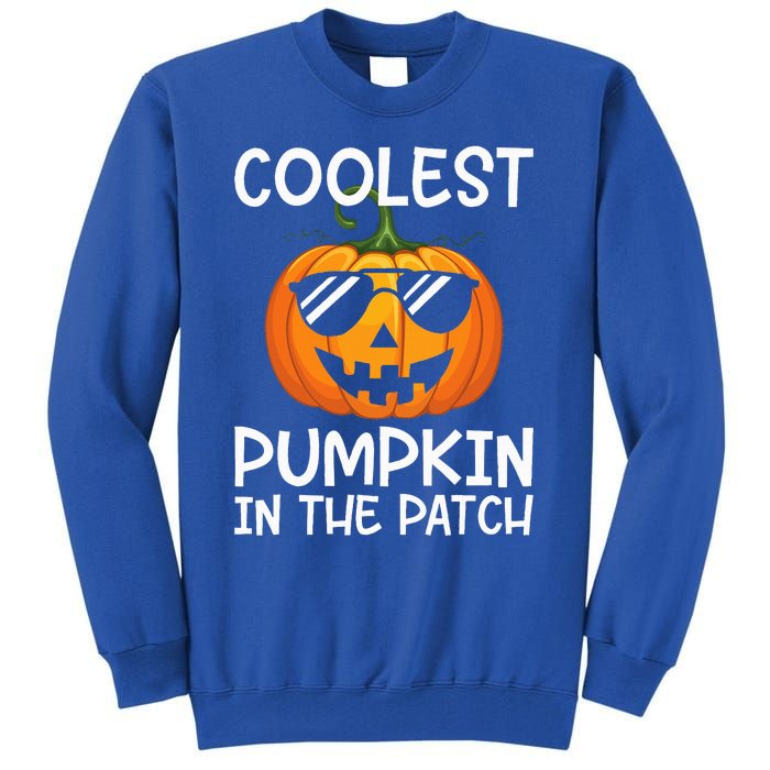 Coolest Pumpkin In The Patch Halloween Tall Sweatshirt