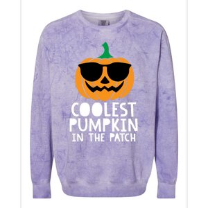 Coolest Pumpkin In The Patch Halloween Gift Colorblast Crewneck Sweatshirt