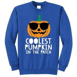 Coolest Pumpkin In The Patch Halloween Gift Sweatshirt