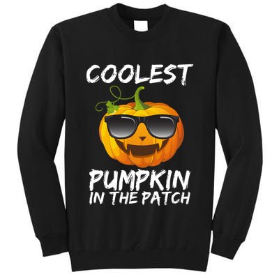 Coolest Pumpkin In The Patch Halloween Tall Sweatshirt