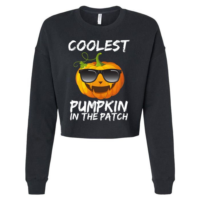 Coolest Pumpkin In The Patch Halloween Cropped Pullover Crew