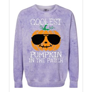 Coolest Pumpkin In The Patch Halloween Colorblast Crewneck Sweatshirt