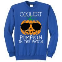 Coolest Pumpkin In The Patch Halloween Sweatshirt