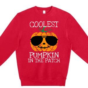 Coolest Pumpkin In The Patch Halloween Premium Crewneck Sweatshirt