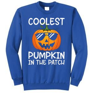 Coolest Pumpkin In The Patch Halloween Sweatshirt