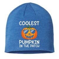 Coolest Pumpkin In The Patch Halloween Sustainable Beanie