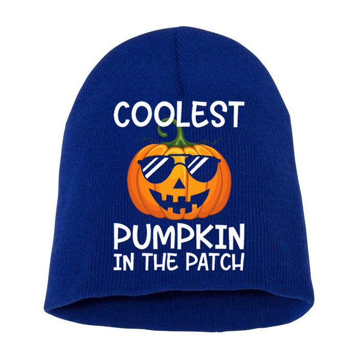 Coolest Pumpkin In The Patch Halloween Short Acrylic Beanie