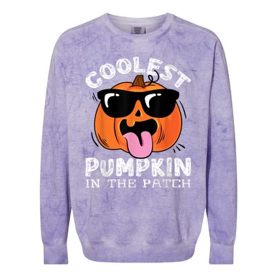 Coolest Pumpkin In The Patch Halloween Colorblast Crewneck Sweatshirt