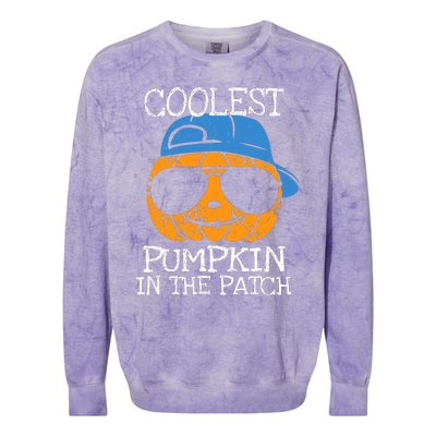 Coolest Pumpkin In The Patch Halloween Boy Girl Teens Colorblast Crewneck Sweatshirt