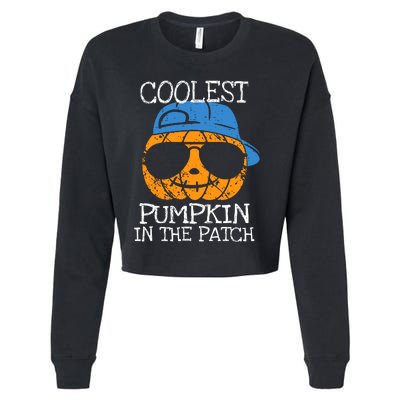 Coolest Pumpkin In The Patch Halloween Boy Girl Teens Cropped Pullover Crew