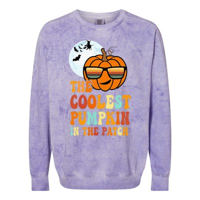 Coolest Pumpkin In The Patch Adorable Halloween Colorblast Crewneck Sweatshirt