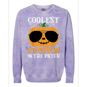 Coolest Pumpkin In The Patch Colorblast Crewneck Sweatshirt