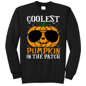 Coolest Pumpkin In The Patch Sweatshirt