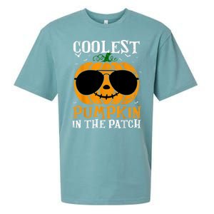 Coolest Pumpkin In The Patch Sueded Cloud Jersey T-Shirt