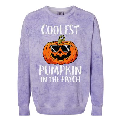 Coolest Pumpkin In The Patch Funny Halloween Gift Colorblast Crewneck Sweatshirt