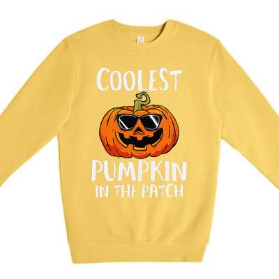 Coolest Pumpkin In The Patch Funny Halloween Gift Premium Crewneck Sweatshirt