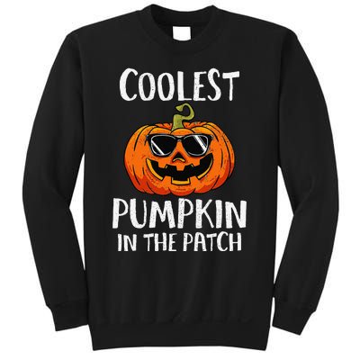 Coolest Pumpkin In The Patch Funny Halloween Gift Sweatshirt