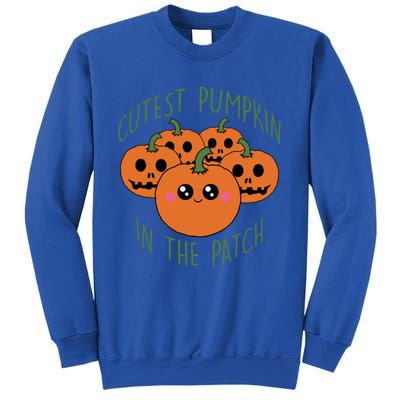 Cutest Pumpkin In The Patch Funny Gift Sweatshirt