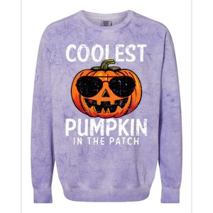 Coolest Pumpkin In The Patch Halloween Kids Colorblast Crewneck Sweatshirt