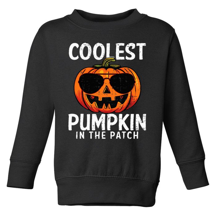 Coolest Pumpkin In The Patch Halloween Kids Toddler Sweatshirt