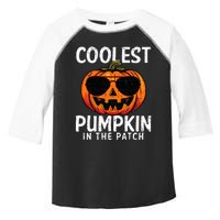 Coolest Pumpkin In The Patch Halloween Kids Toddler Fine Jersey T-Shirt