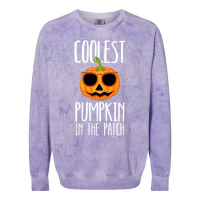 Coolest Pumpkin In The Patch Funny Halloween Party Cute Colorblast Crewneck Sweatshirt