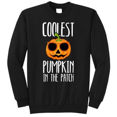 Coolest Pumpkin In The Patch Funny Halloween Party Cute Sweatshirt