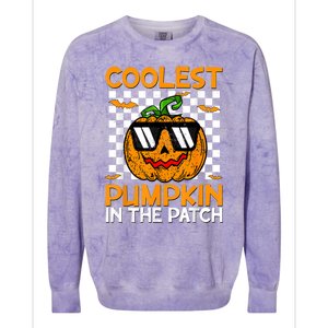 Coolest Pumpkin In The Patch Outfit Halloween Colorblast Crewneck Sweatshirt